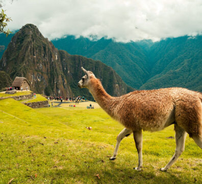Viajes a Cusco entre Junio y Agosto