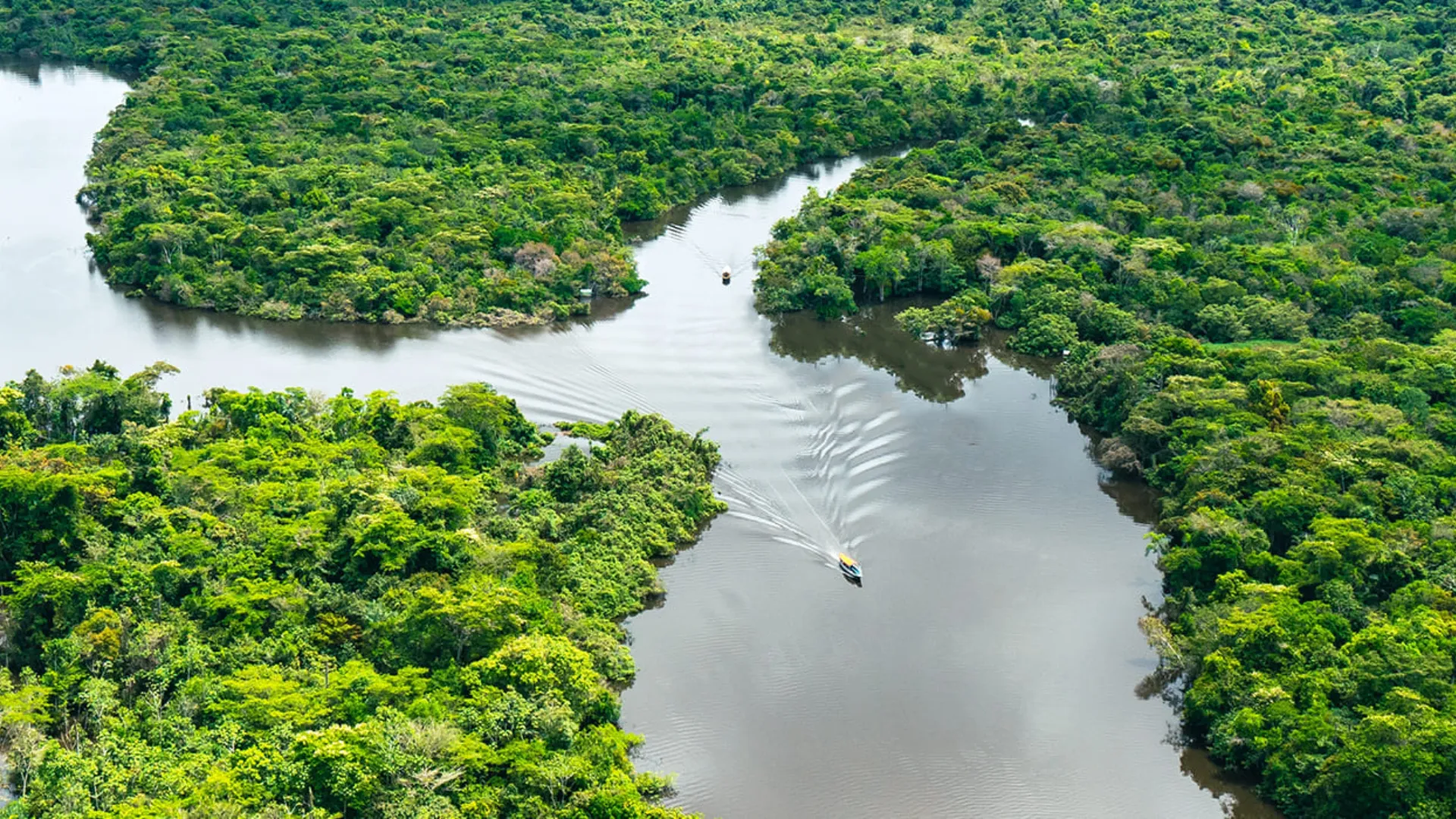 Peruvian Amazon
