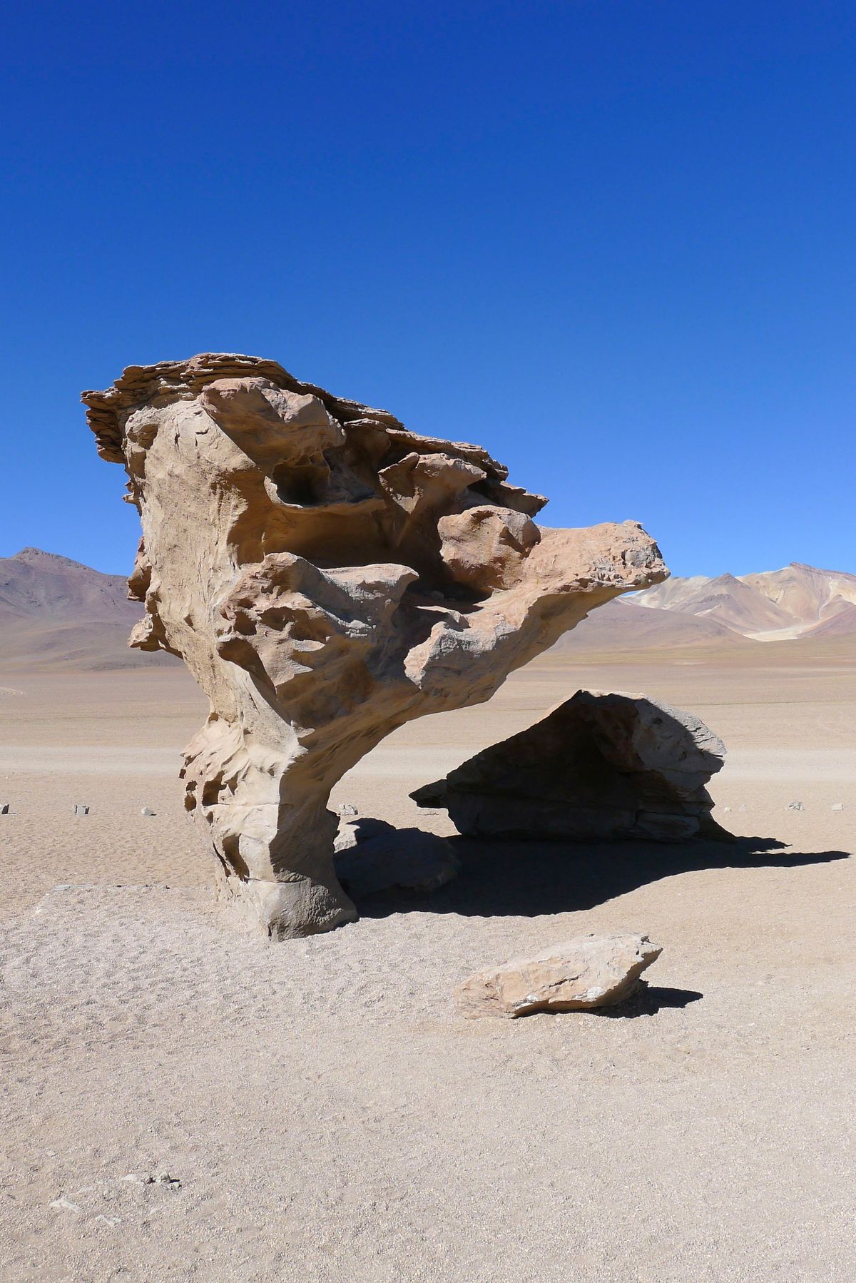 Desierto de Dalí