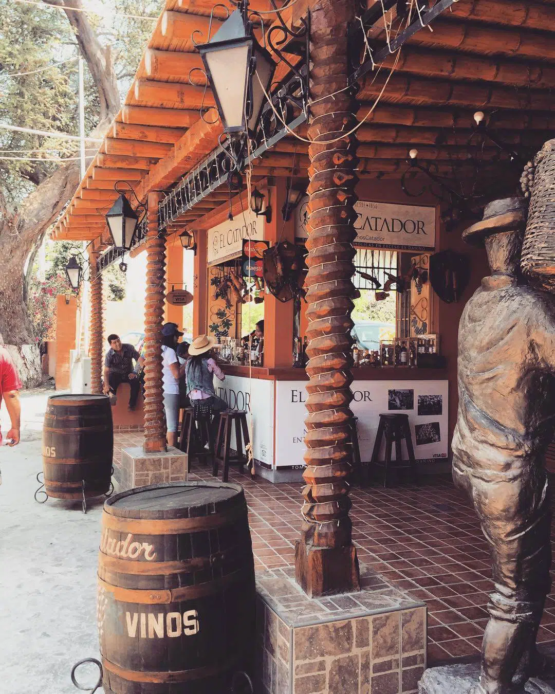 Viñedos de Ica
