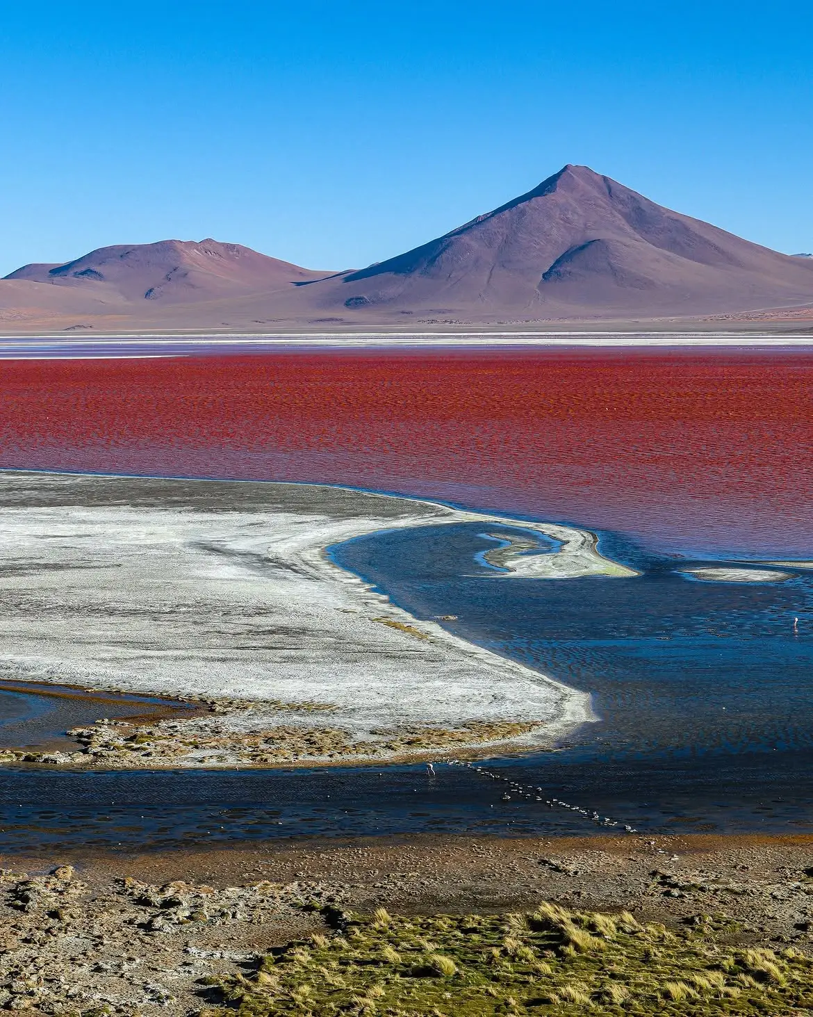 Laguna Colorada