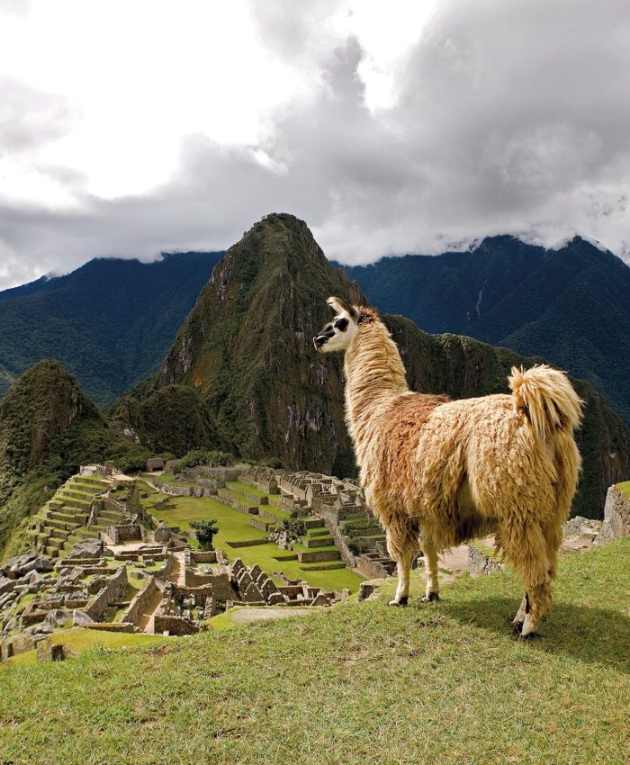 Visiting Machu Picchu Between April and September: Avoid This Costly Mistake